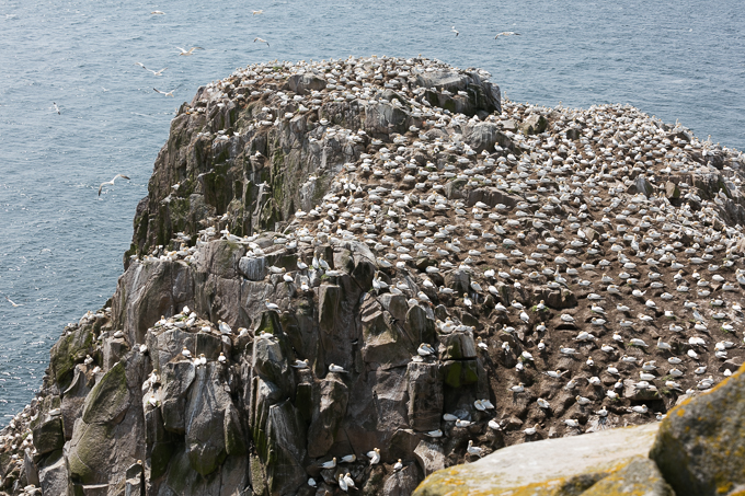 Ireland May 2016 (41)